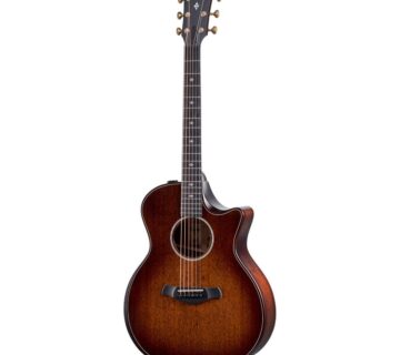 TAYLOR 324ce BUILDER'S EDITION V-CLASS - cover