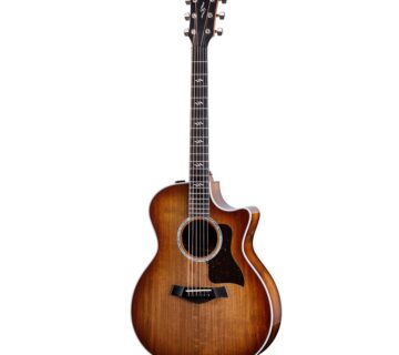 TAYLOR 424ce SPECIAL EDITION - cover