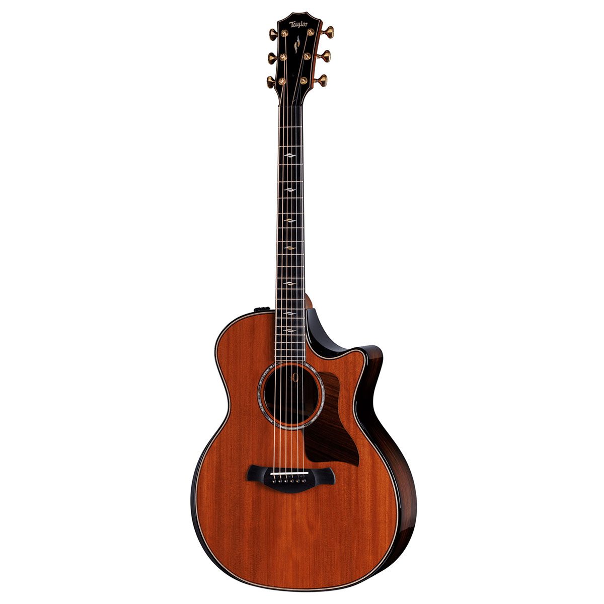 Taylor-814ce-ltd-builders-edition-50th-anniversary