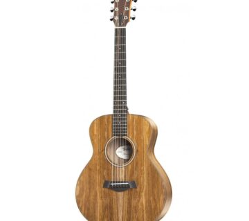 TAYLOR GS MINI-e KOA - cover