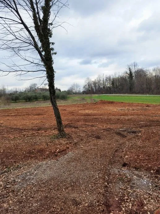 Istra, Barban, prodaja poljoprivrednog zemljišta 11700 m2 - cover