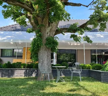 NAJAM TANJURA,ČAŠA,BEŠTEKA,SUNCOBRANA,BARSKIH STOLOVA - cover