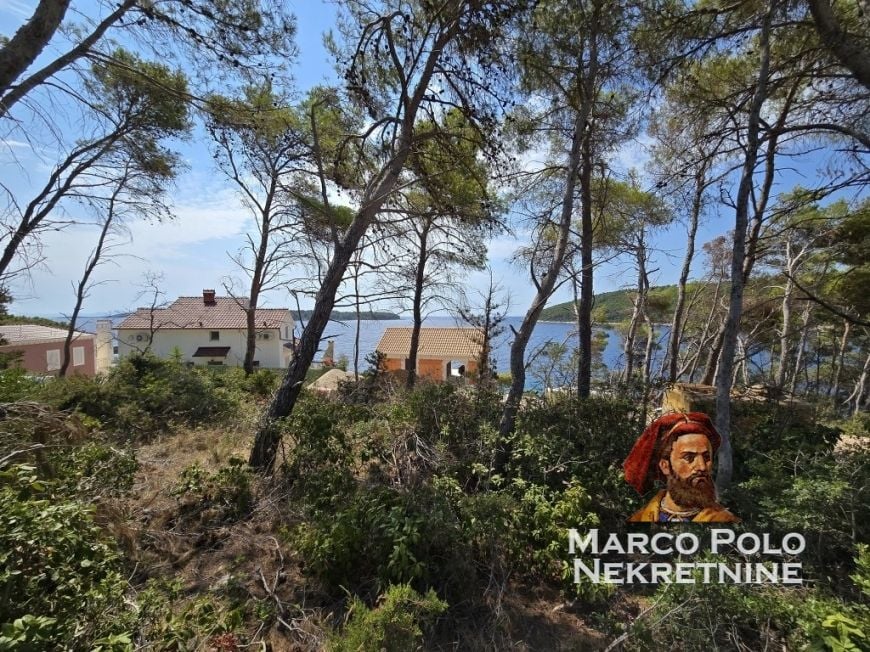 Fotografija
