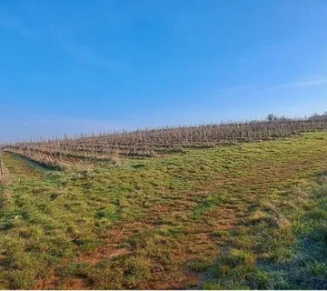 POREČ- ZEMLJIŠTE NA PRODAJU - cover
