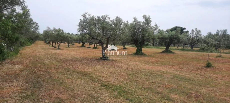 Fotografija