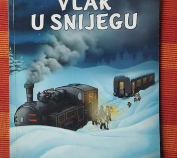 Vlak u snijegu (pril. Tihana Lipovec Fraculj)  - cover