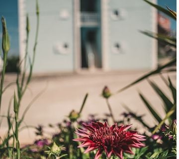 Apartmani Plava kuća - cover