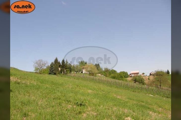 Fotografija