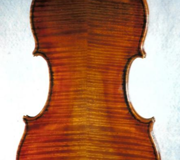 Violina 4/4 - cover