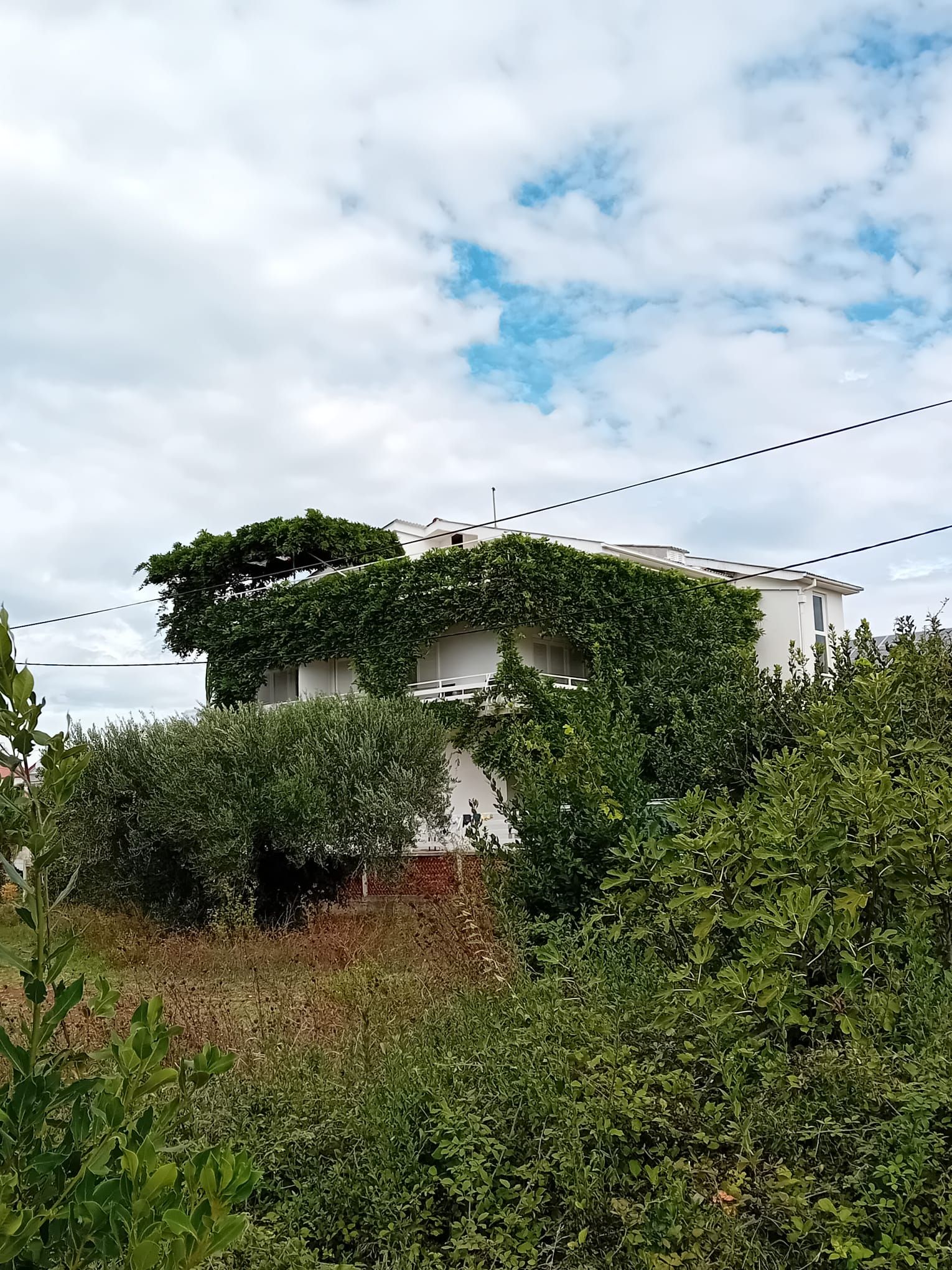 Fotografija
