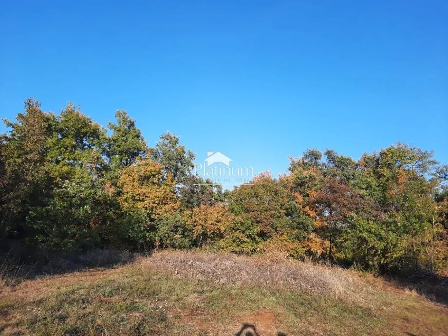 Fotografija