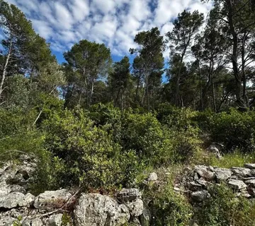 Poljoprivredno zemljište na prodaju - Vela Luka - cover