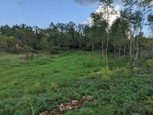 Istra Labin građevinsko zemljište 1586 m2 - cover