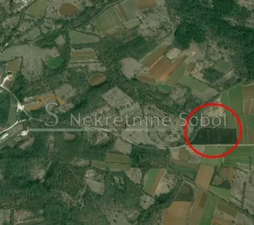 Tinjan, Istra - Poljoprivredno, 5472 M2 Prodaja - cover