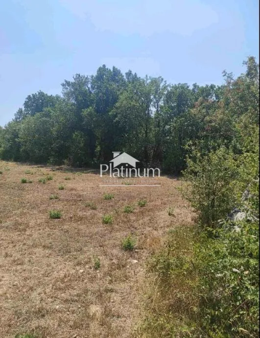 Istra,Fažana parcela 397 m2 - cover