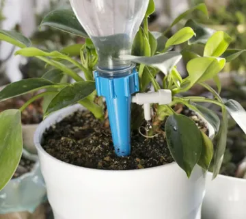 Čep za automatsko navodnjavanje biljaka - cover