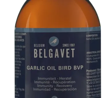 Belgavet GARLIC oil Bird BVP – 250ml - cover