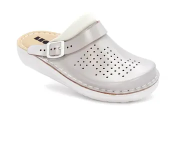 ANATOMSKE KLOMPE, Srebrna, BCABB - cover