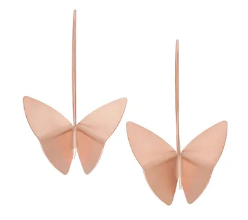 Leptir naušnice - cover