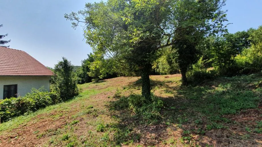 Fotografija