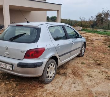 Peugeot 307 2.0. Hdi - cover
