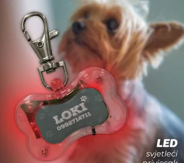 Personalizirani svjetleći privjesak za pse – kost - cover