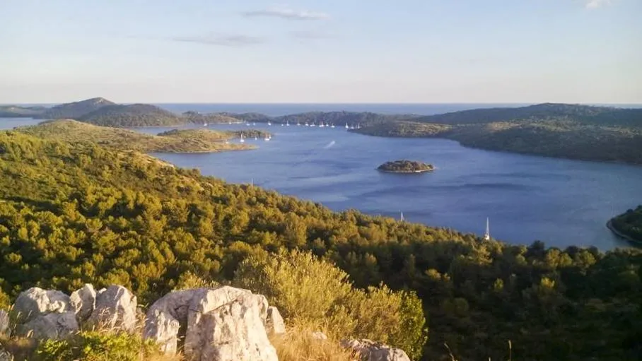 Poljoprivredno zemljište, Sali, 31205 m2 - cover