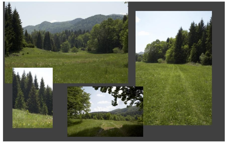 Fotografija