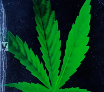 MARIHUANA Carolyn Barry Paul Dennis - cover