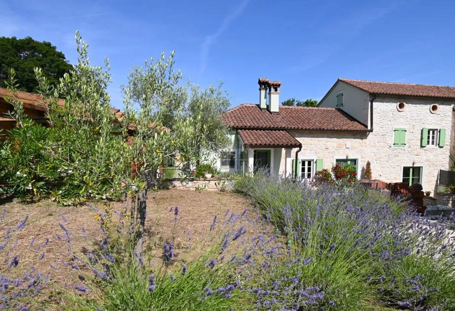 Istarska kamena kuća nedaleko Vižinade (prodaja) - cover