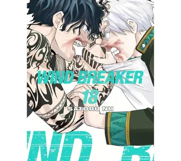 Wind Breaker vol. 18 - cover