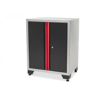 Deluxe profesionalni ormar za alat s vratima za radionicu - cover