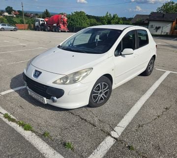 Peugeot 307 1.6hdi - cover