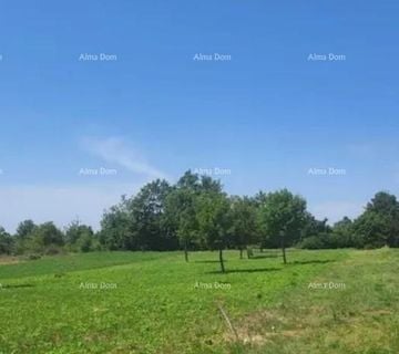 Istra, Žminj, Laginji. Građevinsko zemljište. 2370 m2. - cover