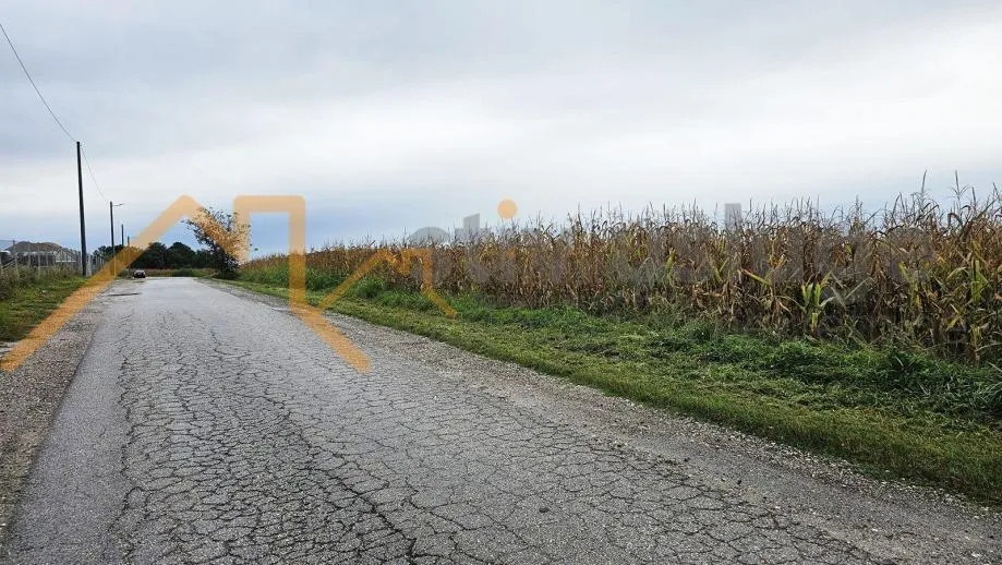 Fotografija