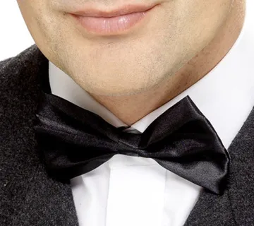 Leptir mašna - cover