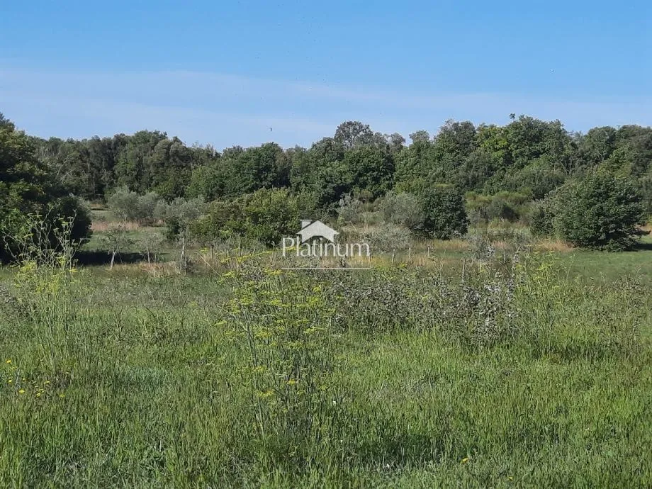 Fotografija