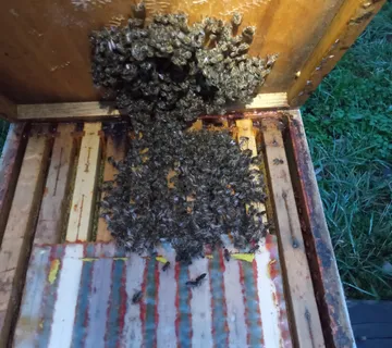 Prodajem LR zajednice - cover