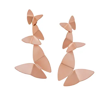 Leptir naušnice - cover