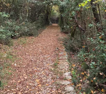 Opatija, IĆIĆI šuma 2473 m2, planirana namjena Stam-poslovna - Ičići, Opatija