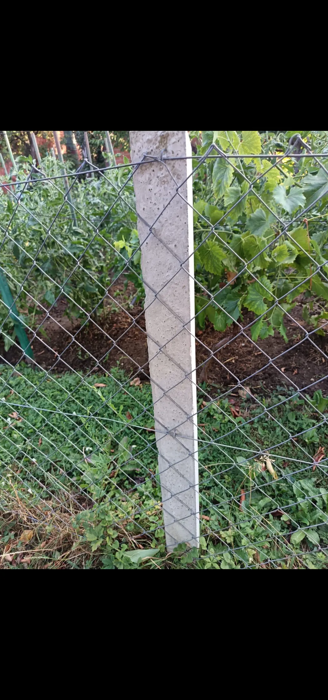 Fotografija