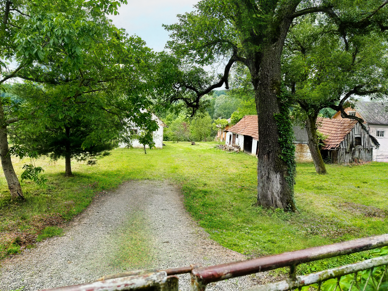 Fotografija