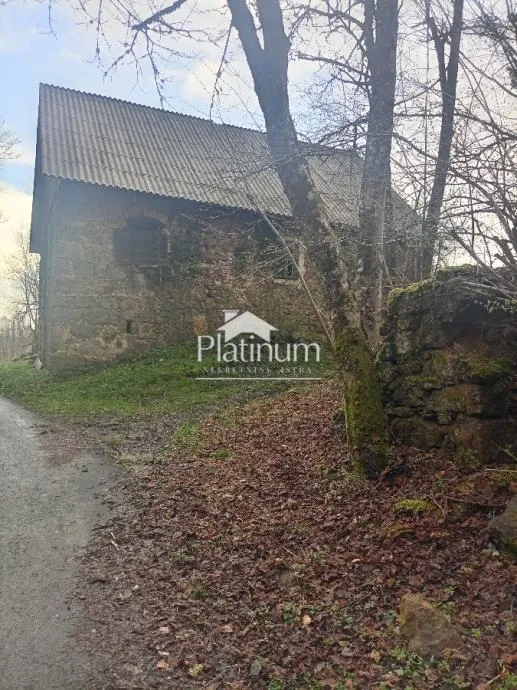 Fotografija