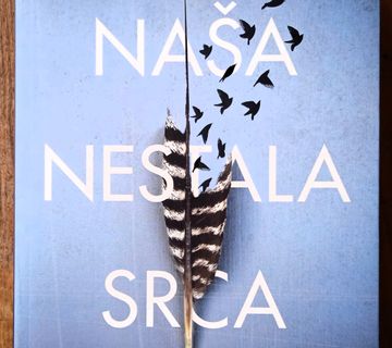NAŠA NESTALA SRCA Celeste Ng - cover