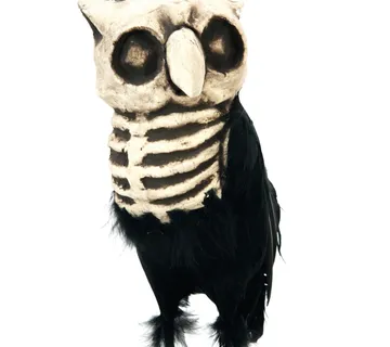 EUROPALMS Owl horror - cover