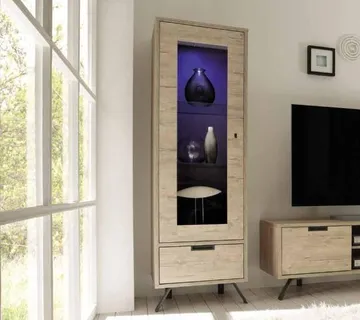 Vitrina PALMA – 1 ladica i 1 vrata - cover