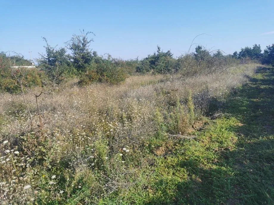 VIŽINADA-GRADEVINSKO ZEMLJIŠTE SA POLJOPRIVREDNIM NA PRODAJU - cover