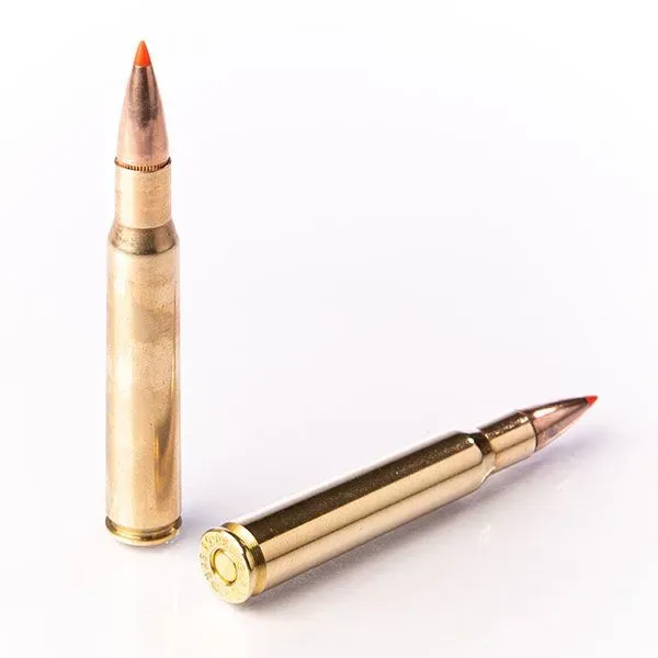 Karabinsko streljivo FIOCCHI 30-06 EPN 11,7g / 180gr - cover
