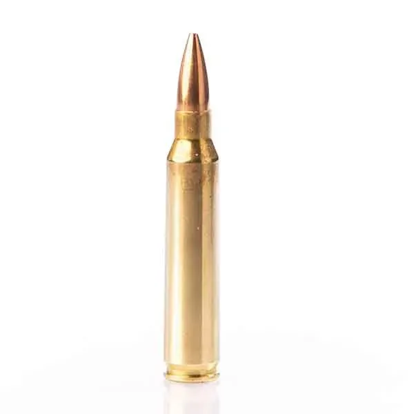 Karabinsko streljivo FIOCCHI .223 Rem. EXACTA HPBT SMK 69gr - cover