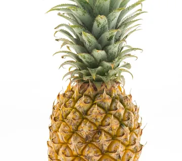 Ananas *Fruit Club* - cover